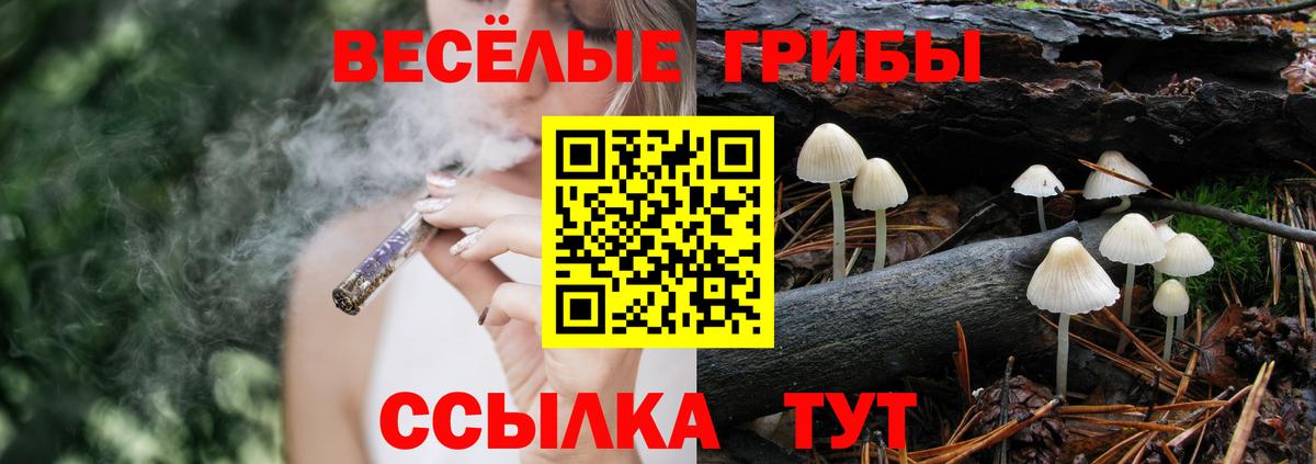 Нижнекамск  Галлюциногенные грибы Magic Shrooms  Вход с VPN 